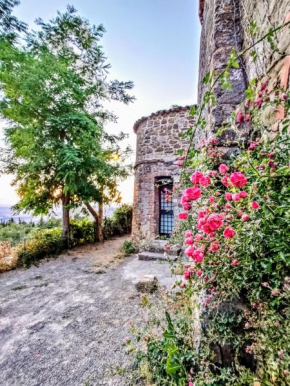 Historic 14th Century Palazzo apartments